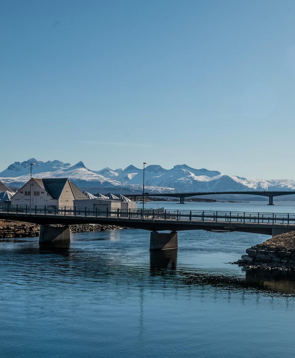 Arctic Design